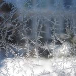 img_1435